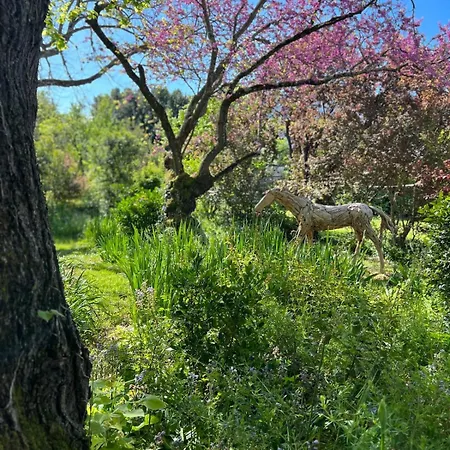 Exceptional Property, Park, Pool, *