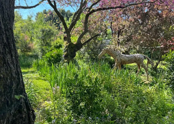 Exceptional Property, Park, Pool, *